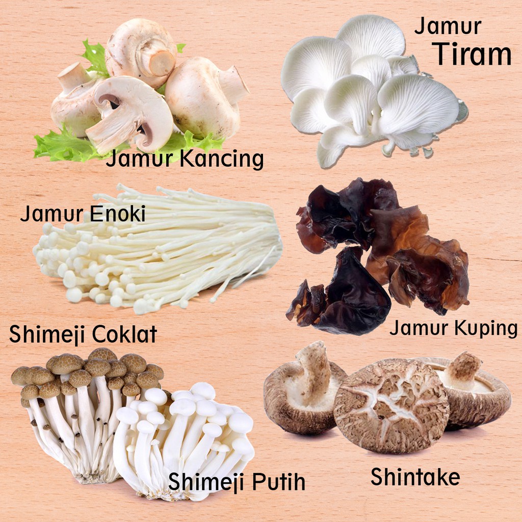 JAMUR JAMUR ENOKI / JAMUR KANCING / SHINTAKE / SHIMEJI PUTIH COKLAT