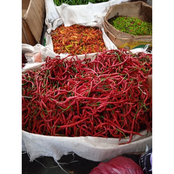 

cabe merah panjang/cabe merah kg