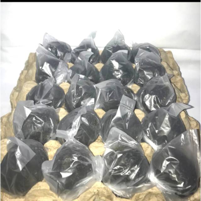 

Telor asin mentah (10pcs)