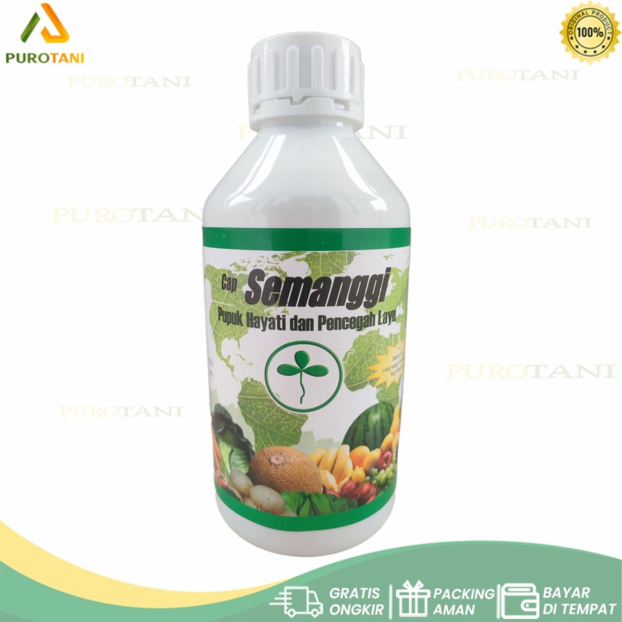 Pupuk dan Fungisida Hayati Semanggi Bacillus sp Trichoderma sp Bacillus spp 1 LT