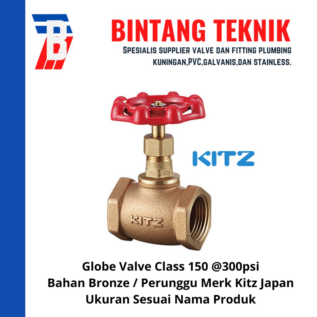 Globe Valve 1" inch Bronze Kitz Class #150