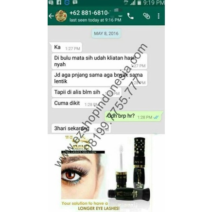 WII Amino Long Lasher Solution ( 1botol) original ez shop