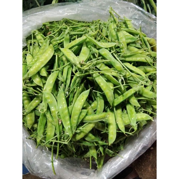 

Arcis sayur 500 gram