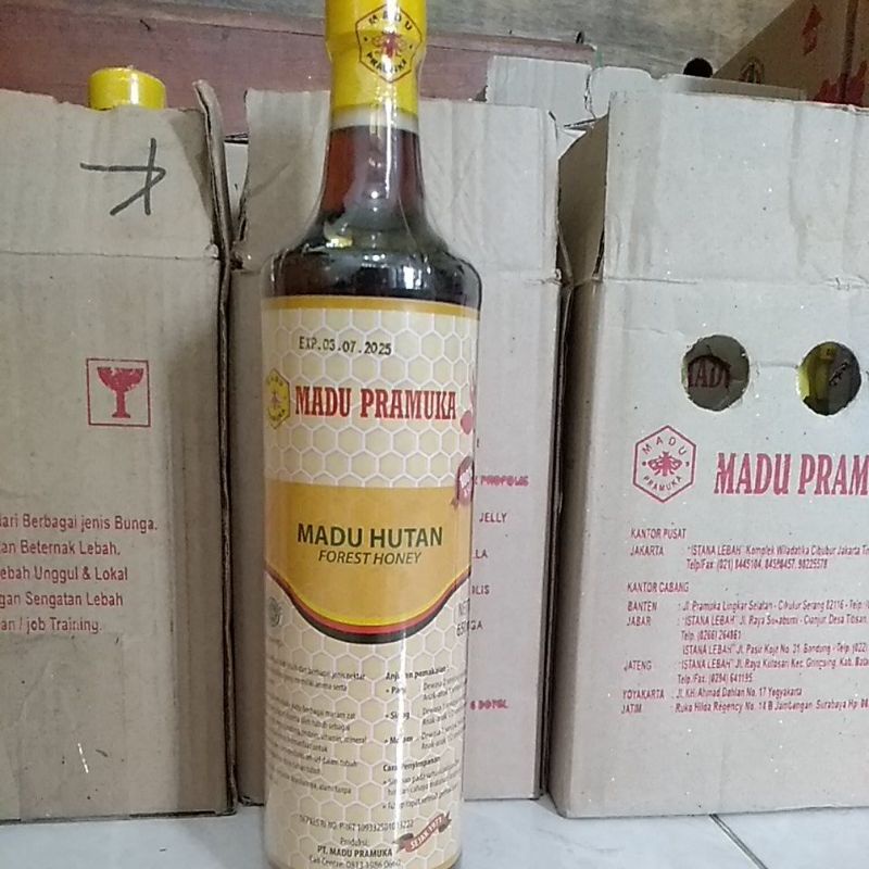 

Madu Pramuka Lebah Liar Madu Hutan 650ml