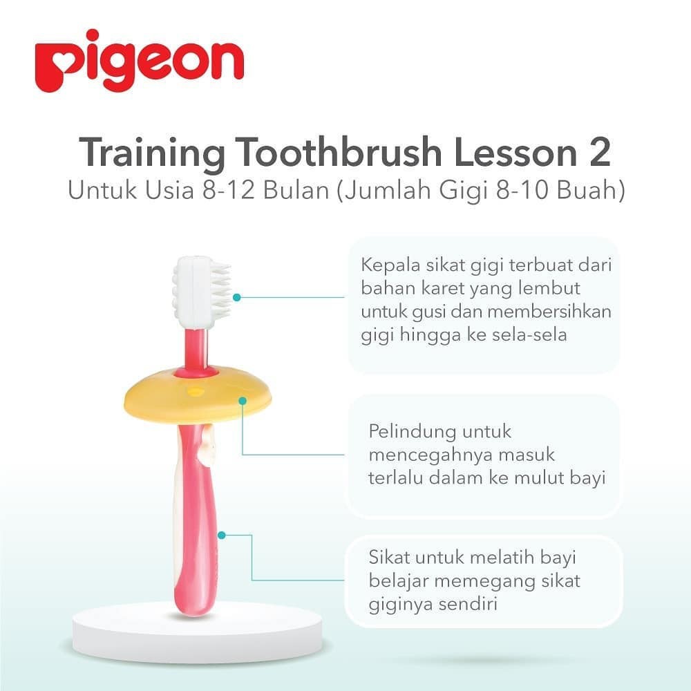 PIGEON TRAINING TOOTHBRUSH LESSON 1 2 3 / TOOTHBRUSH / PIGEON