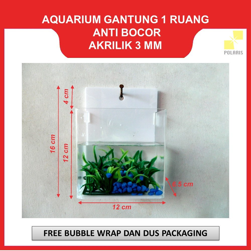 AKUARIUM CUPANG GANTUNG / AQUARIUM AKRILIK DINDING / SOLITER CUPANG AKRILIK GANTUNG