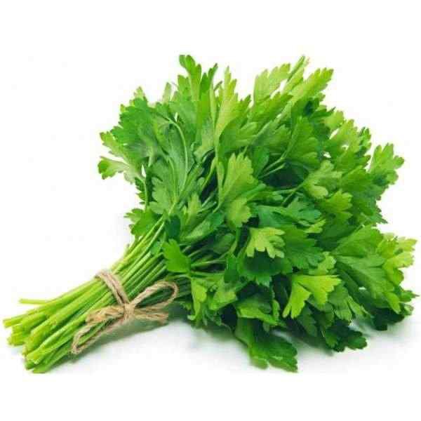 Jual Sayur Segar Daun Ketumbar Wansui Yensui Cilantro Coriander