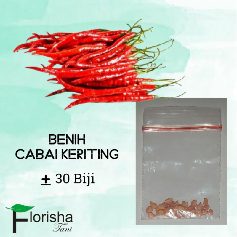 Benih/Bibit/Biji Cabai Keriting Kemasan Kecil/Repack
