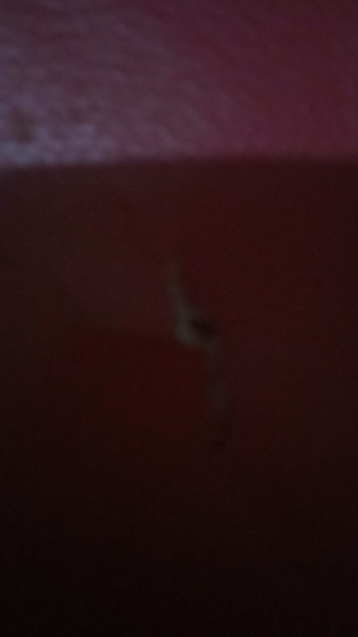 Pisau Daging/golok B018