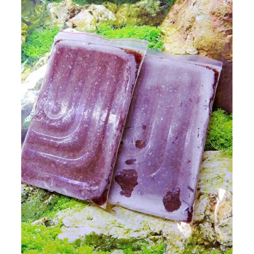 

CACING MURNI BEKU LEMPENGAN 1KG ISI 4