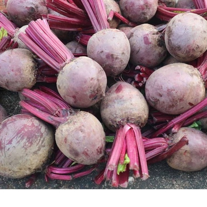 

Buah Bit Beet Root Segar (1kg)