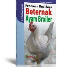 PEDOMAN BETERNAK AYAM BROILER
