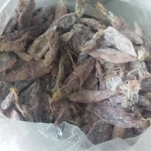 

Cumi asin