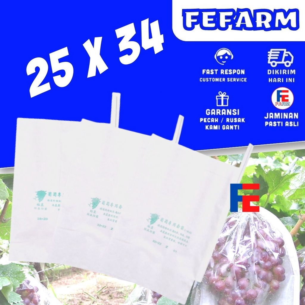 Pembungkus Buah Tembus Pandang Fruit Cover Anggur Transparan Waterproof 28X36 FEFARM