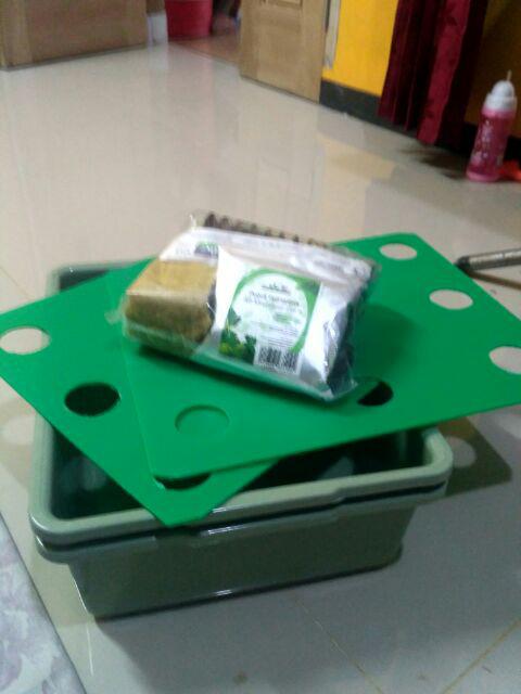 Paket Starter Kit Hidroponik (wick System) 9 Lubang 2 Bak