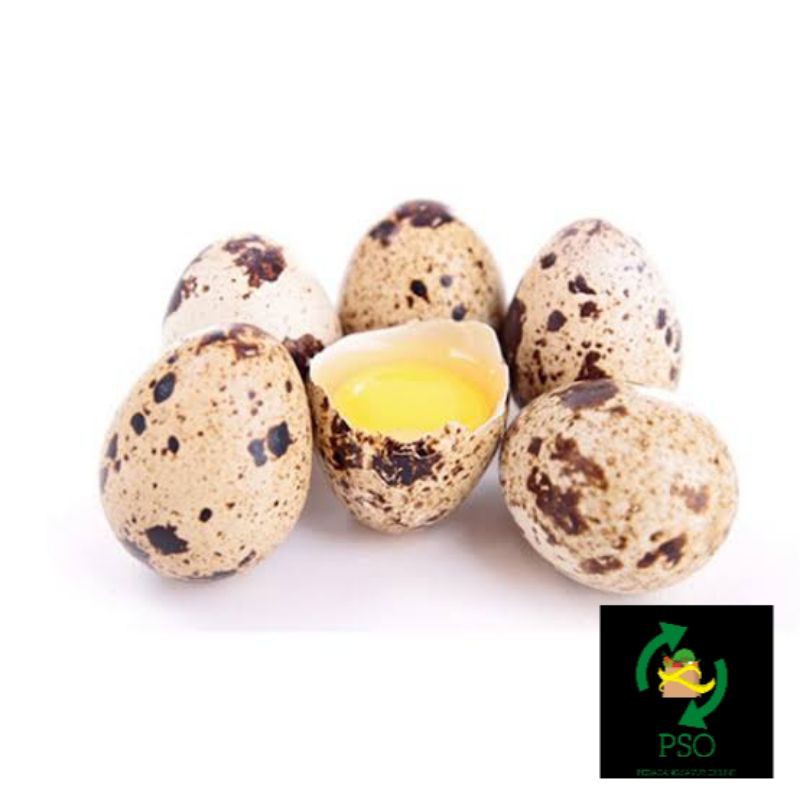 

TELUR PUYUH/16BUTIR(1PACK)