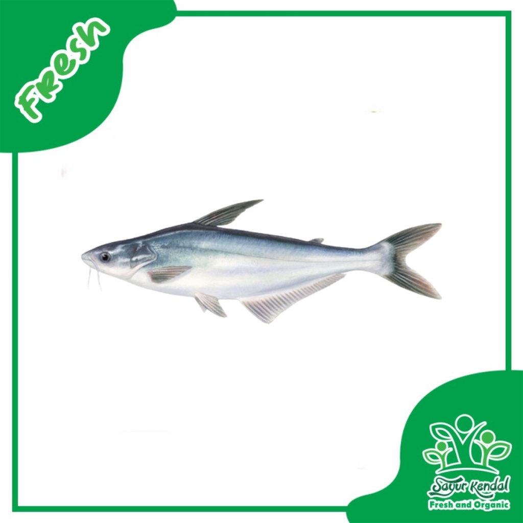 

Ikan Patin - Sayur Kendal