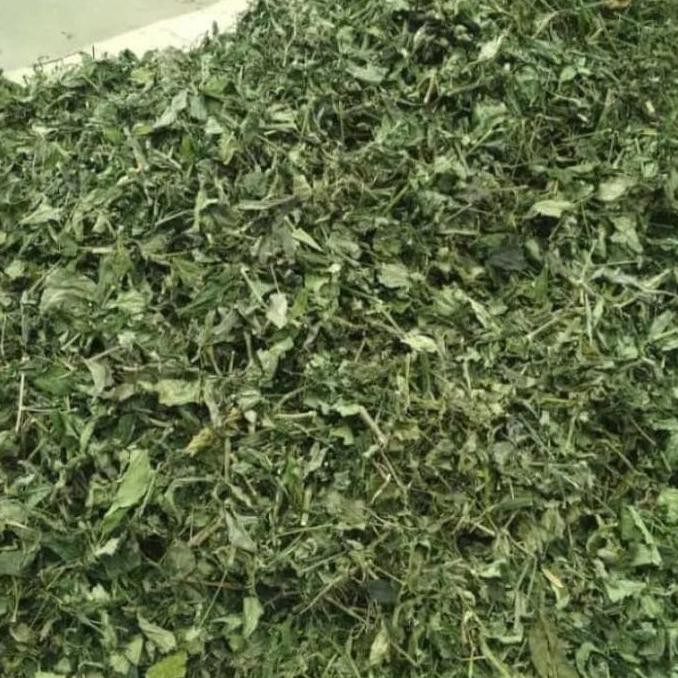 

Promo Awal tahun Daun Sambiloto Kering/Rempah Jamu Tradisional/Sipahit Menyehatkan 500g Diskon