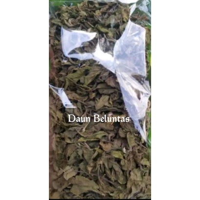 

Daun beluntas 500gr / Teh daun beluntas kering