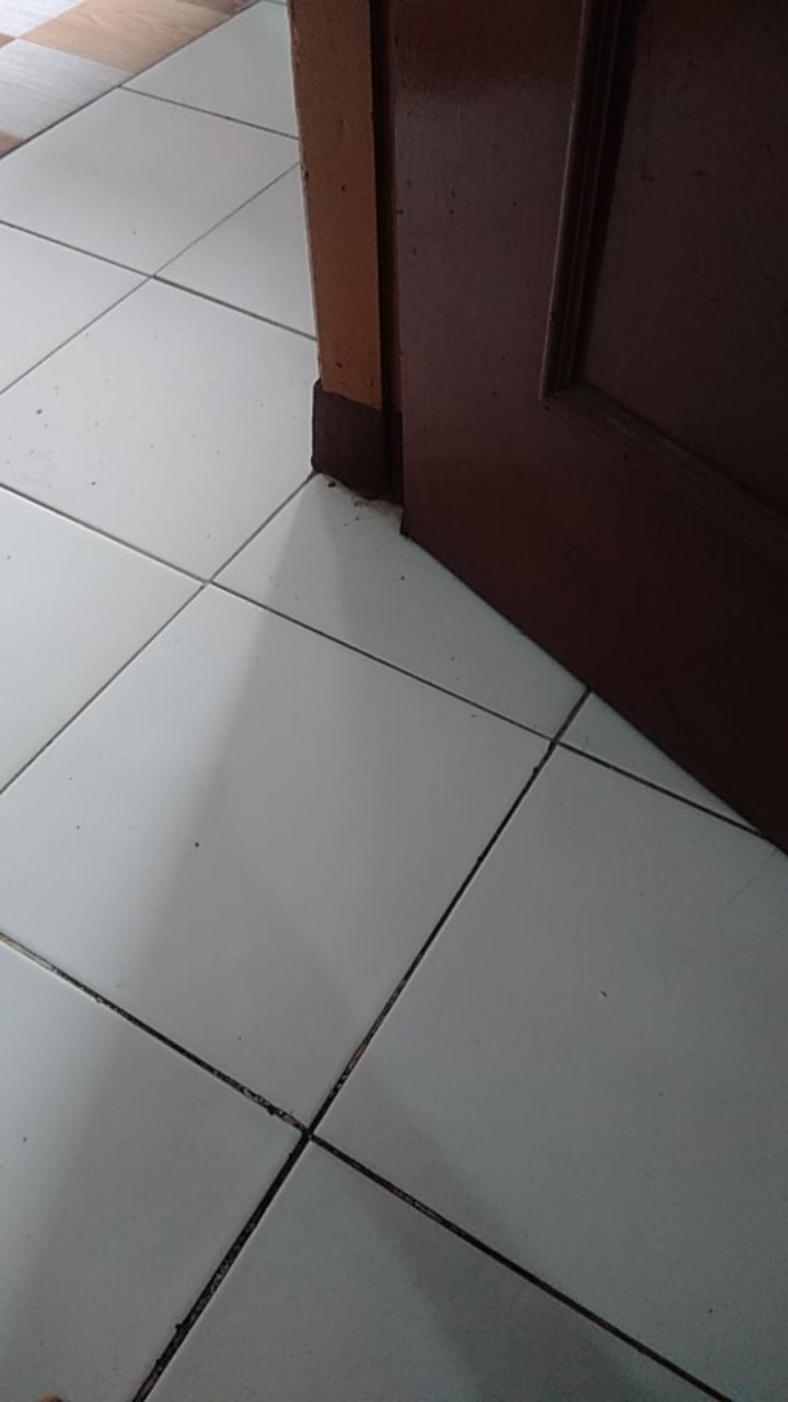 10 Pcs Paku Beton Tembok Nails Marabu Putih 4 10cm 10 Cm