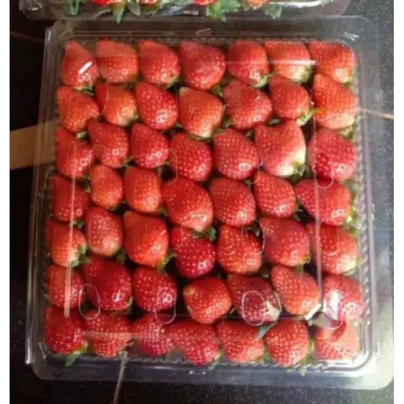 

STRAWBERRY FRESH/ 1KG