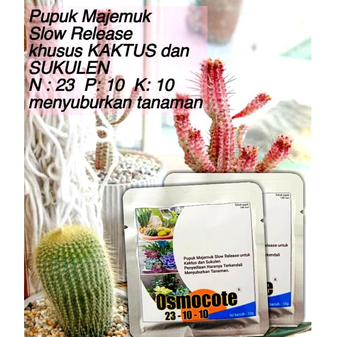 Pupuk Kaktus dan Sukulen Dekastar Osmocote 23-10-10 slow Release