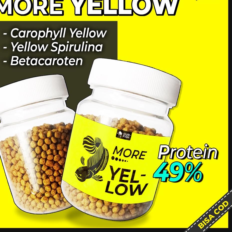 SALE Pelet Ikan Channa MORE YELLOW BLUE RED Pakan Ikan Channa Auranti Andrao Stewarti Limbata Maru B