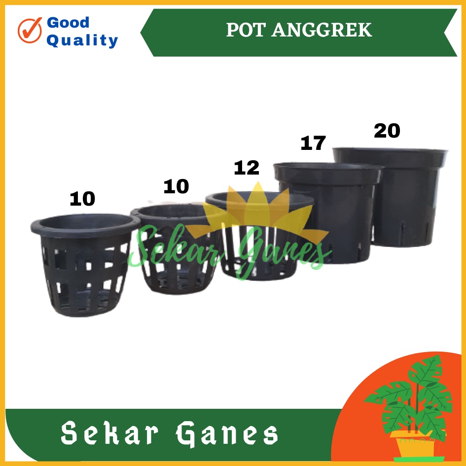 READY Pot Bunga Anggrek 10cm | Jual Pot Plastik Orchid 10 cm Grosir Murah