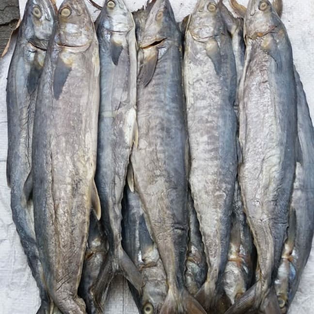 ( Gojek / Grab Only ) Ikan Asin Tenggiri Medan / Bk 012