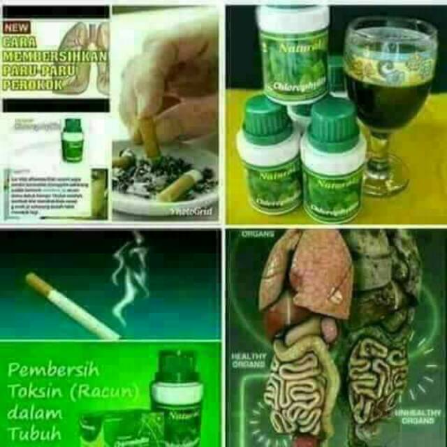 

solusi berhenti merokok/menyegarkan badan/batuk/paru/asma