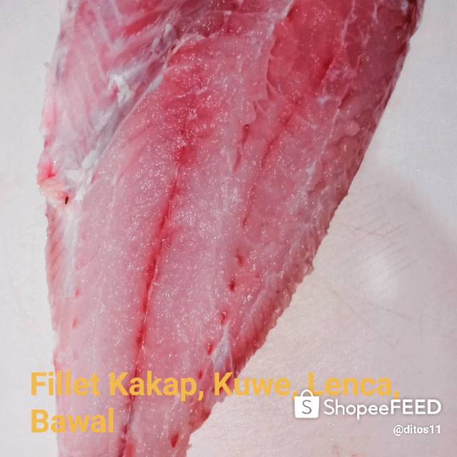 

Fillet Ikan Kakap Kuwe Bawal Lencam