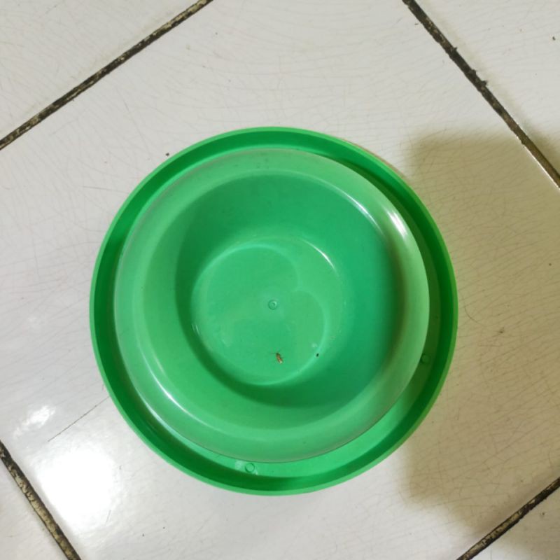 Mangkung Tempat Makan Kucing Murah Anti Semut/Bowl