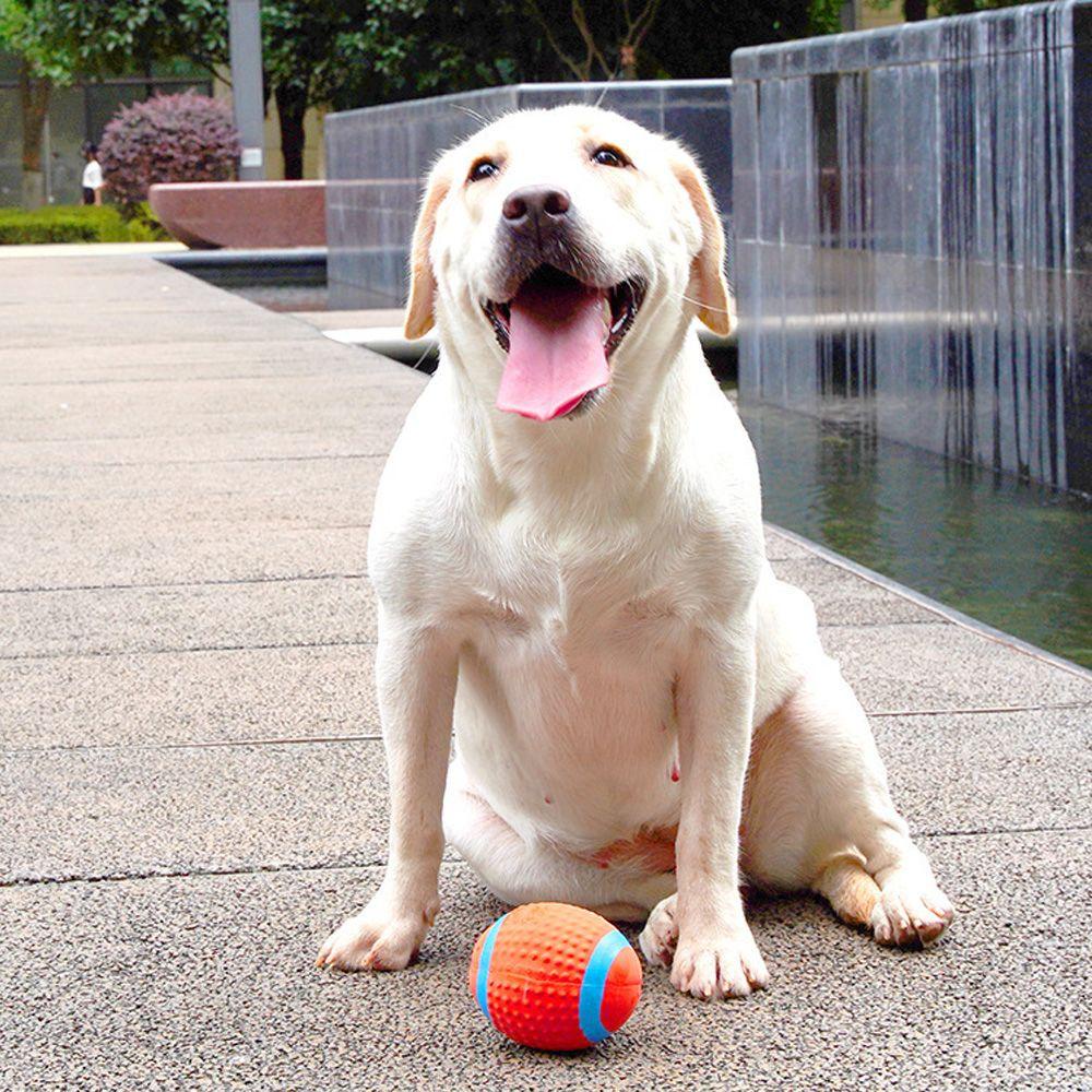 Suyo Mainan Bola Voli / Rugby / Football Interaktif Bahan Latex Tahan Lama Untuk Anjing