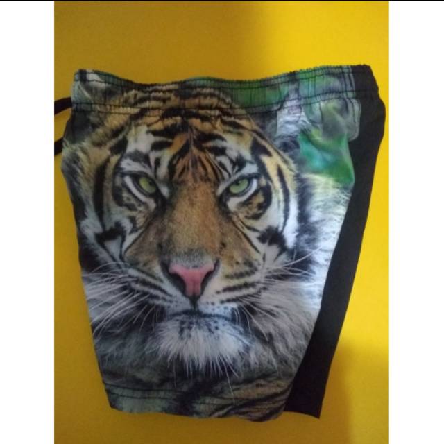 Preloved celana renang anak