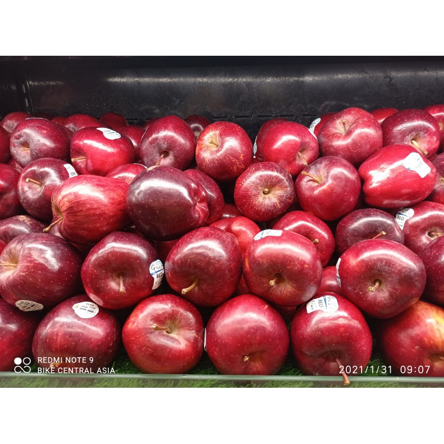 

Apel Washington per Kg