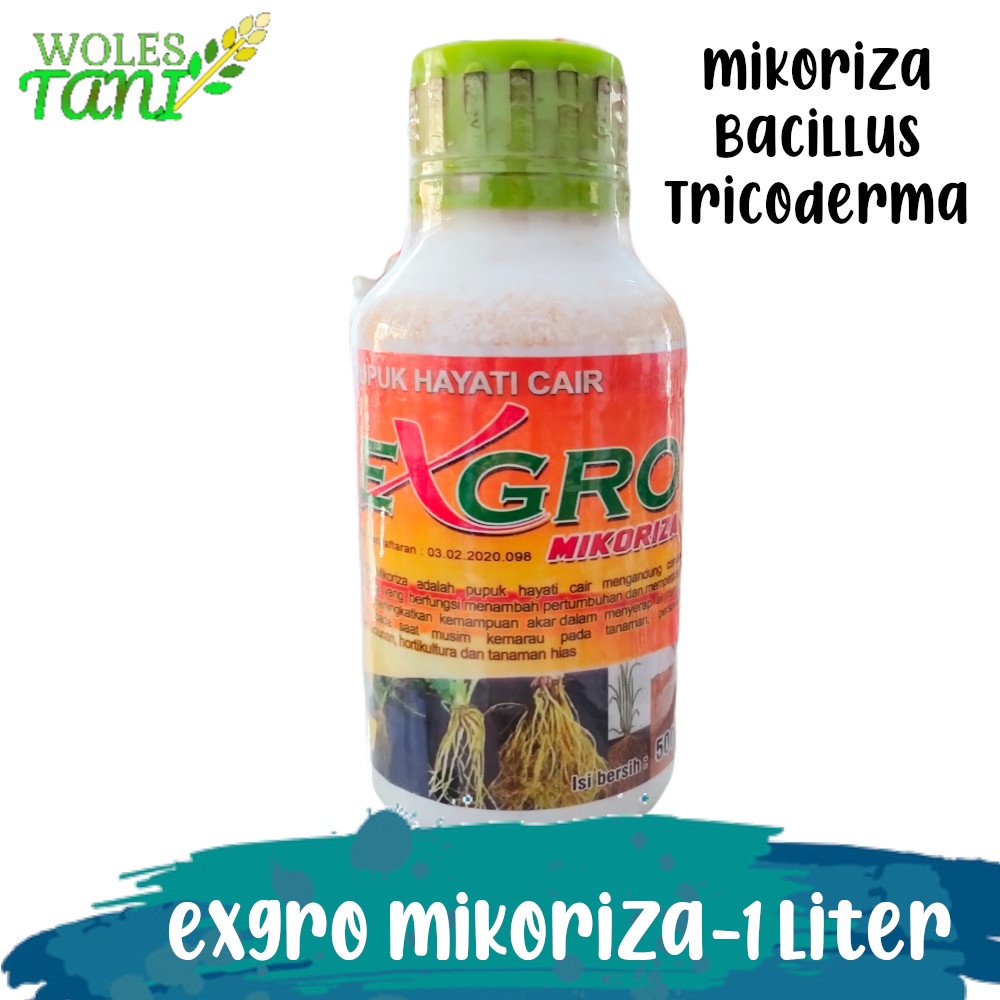 Exgro 1 Liter Mikoriza Cair Pupuk Mikoriza Endomikoriza