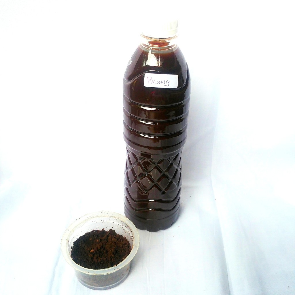 

Pewarna Cair Pinang + Simplokos Alami Batik Eco-print