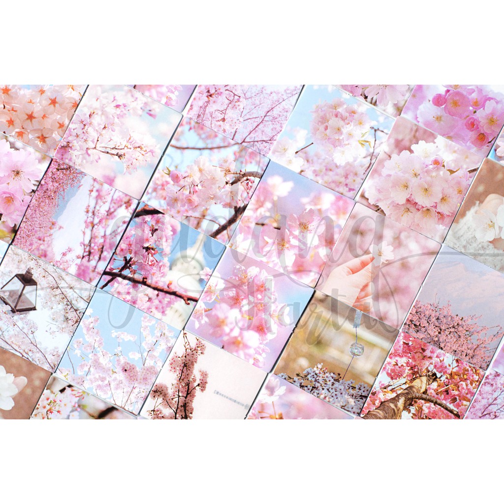 Stiker Sakura Square Sticker Bunga Sakura DIY Scrapbook GH 303718