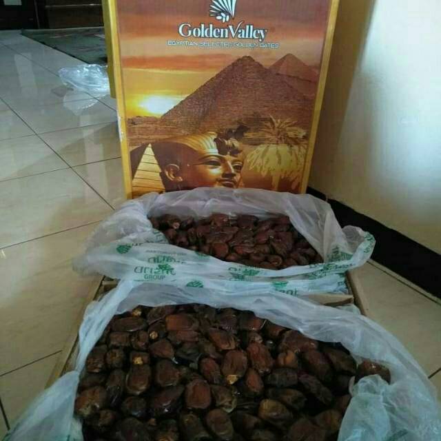 

Kurma Mesir Golden valley