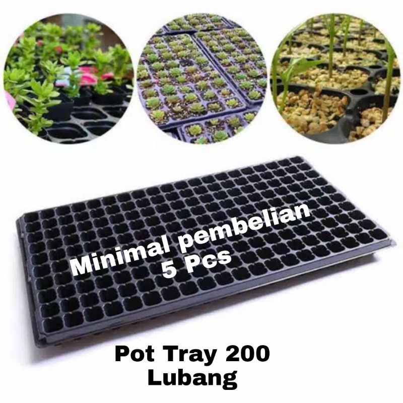 Tray Semai 200 Lubang Tebal 1 mm Tempat Media Semai Benih