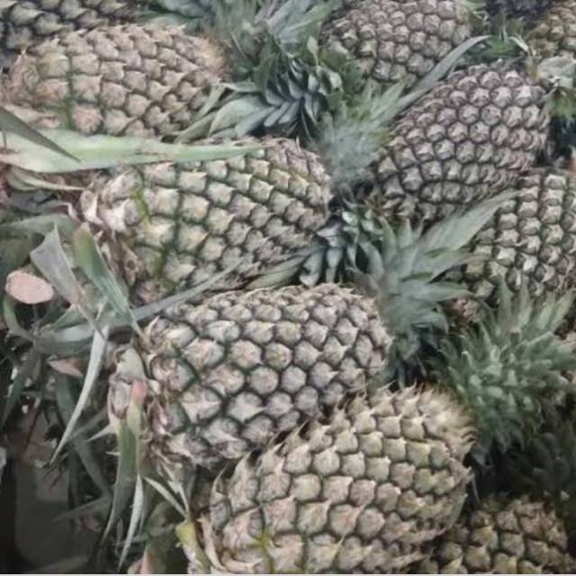 

NANAS PALEMBANG/pcs