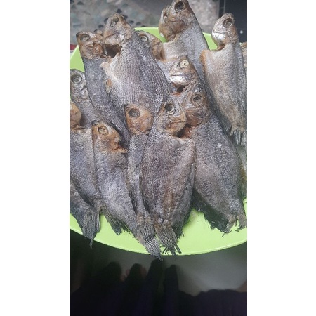 

Ikan Sepat Asin