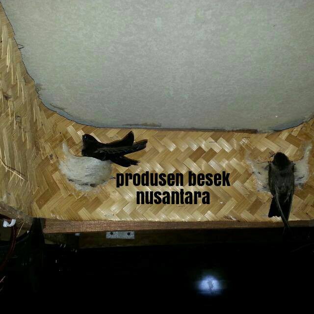 BESEK PELAPIS SIRIP WALET MURAH 15X100CM,BESEK WALET MURAH,BESEK SARANG WALET MURAH