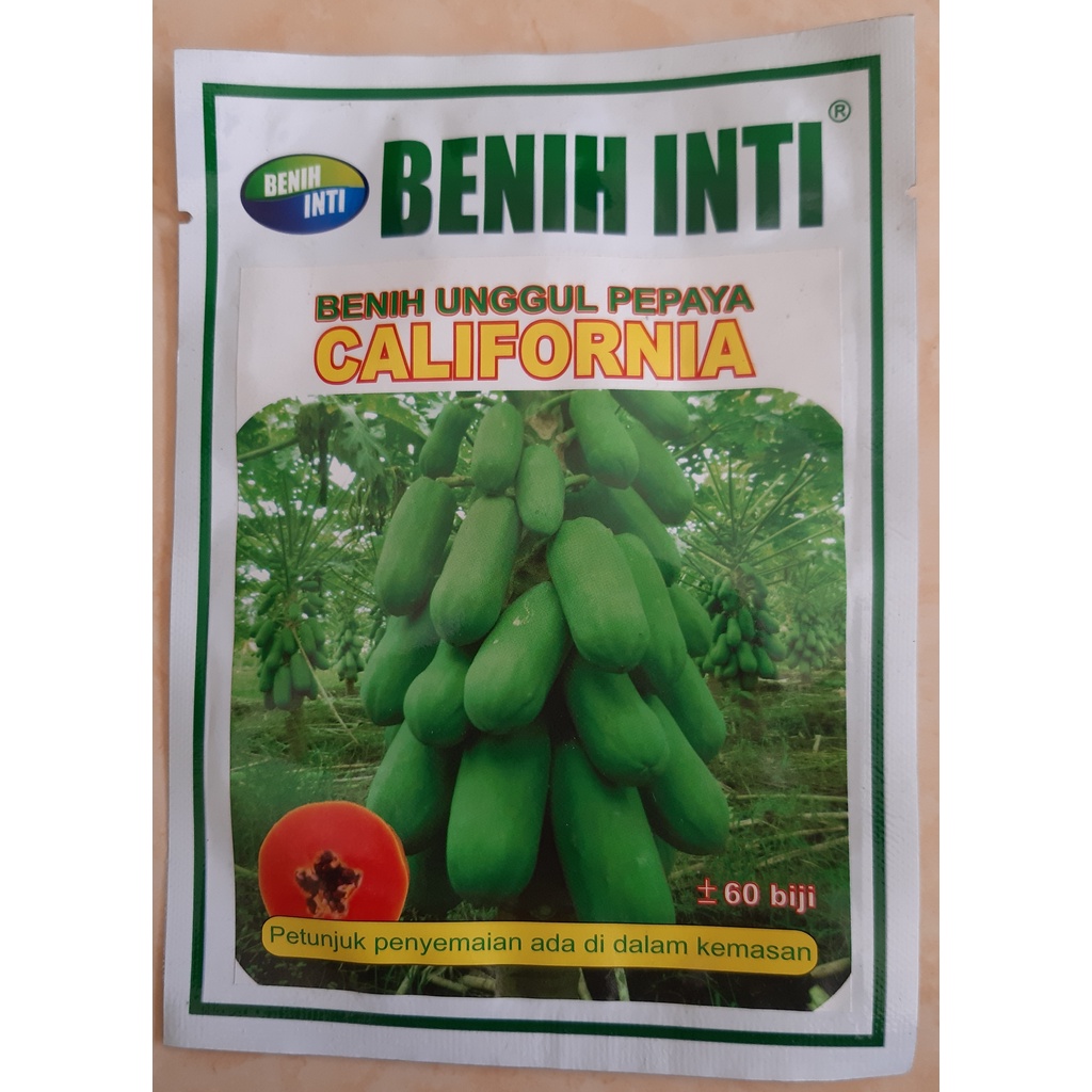 Benih unggul PEPAYA CALIFORNIA,papaya CALIFORNIA,BENIH PEPAYA