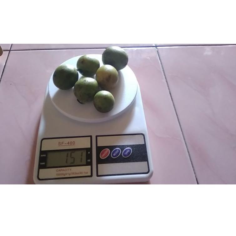 

[PROMO WZT92] BUAH GANDARIA / BUAH JATAKE / BUAH SEGAR / BUAH PETISAN Paling Popular
