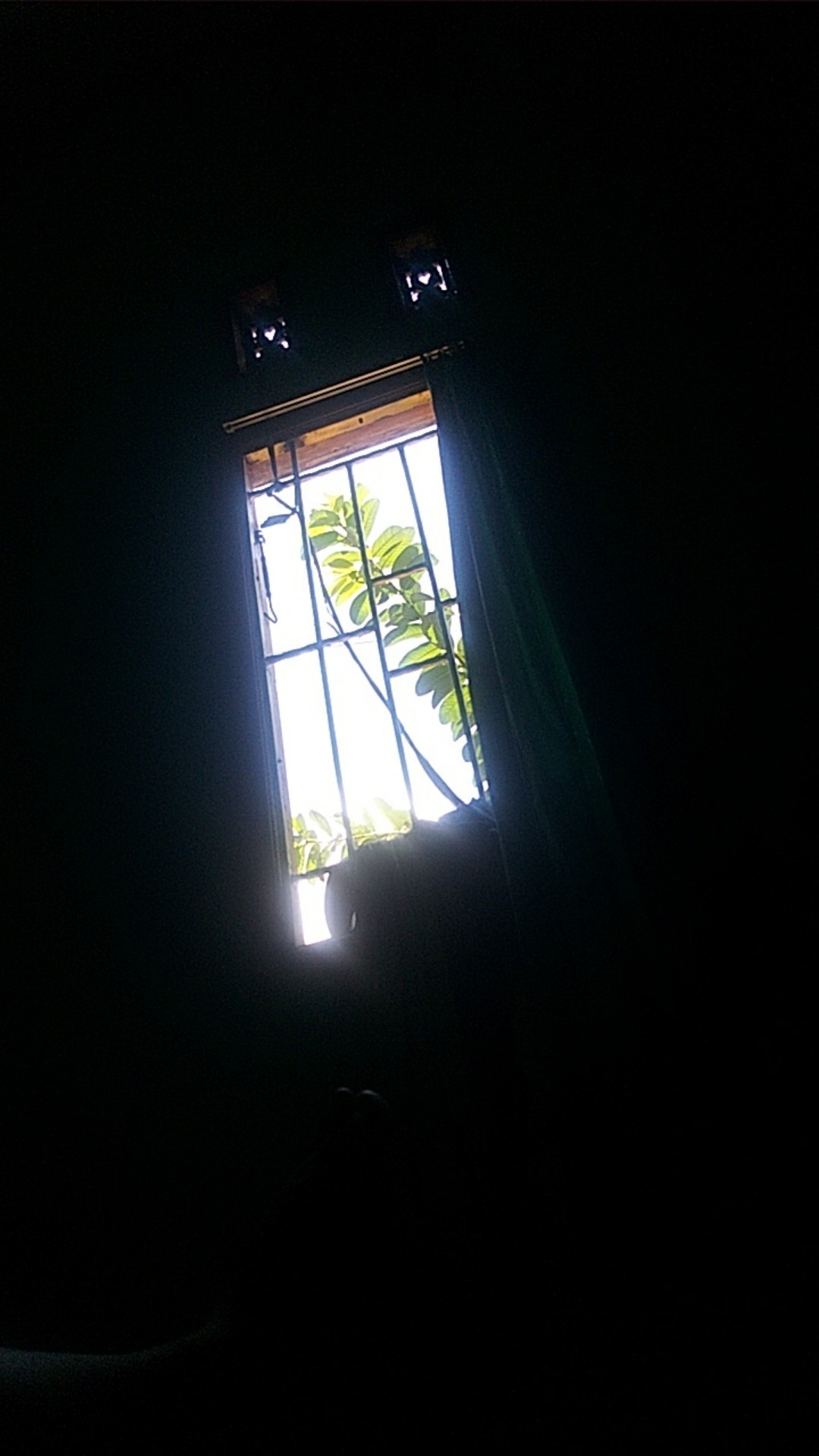 Sarung Tangan Nitrile Medis Handscoon Latex Steril