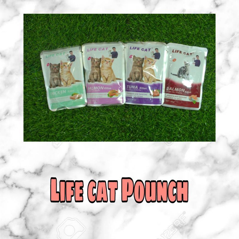 Life Cat Pouch Kitten