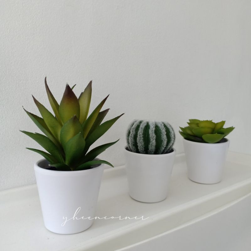 Artificial Mini Cactus set of 3 / Kaktus Set