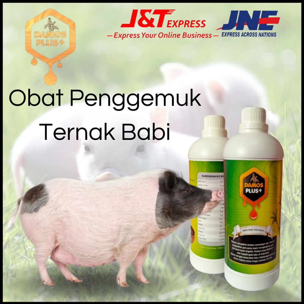 Damos Plus obat cacing babi ternak | Vitamin penggemuk babi, Suplemen penggemuk babi, obat vitamin untuk ternak babi | Obat nafsu makan untuk babi, vitamin penggemuk ternak babi | obat penggemuk badan babi, vitamin babi 100% molase tetes tebu murni