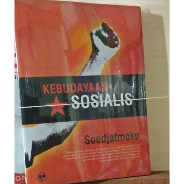 Kebudayaan Sosialis